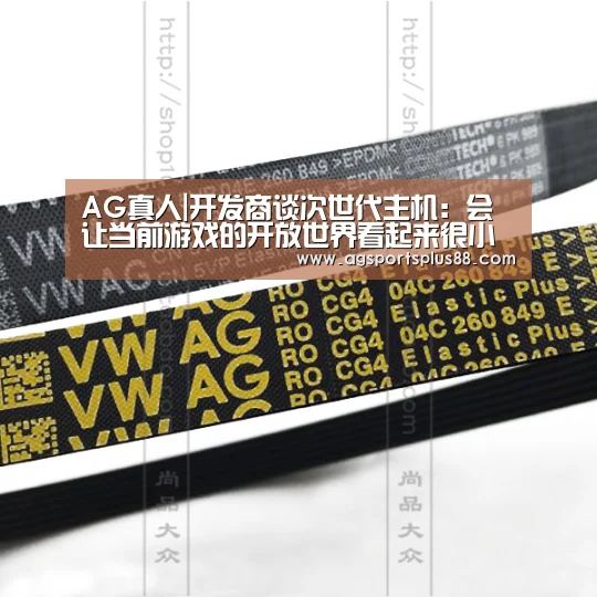 AG真人|开发商谈次世代主机:会让当前游戏的开放世界看起来很小(图1) AG视讯