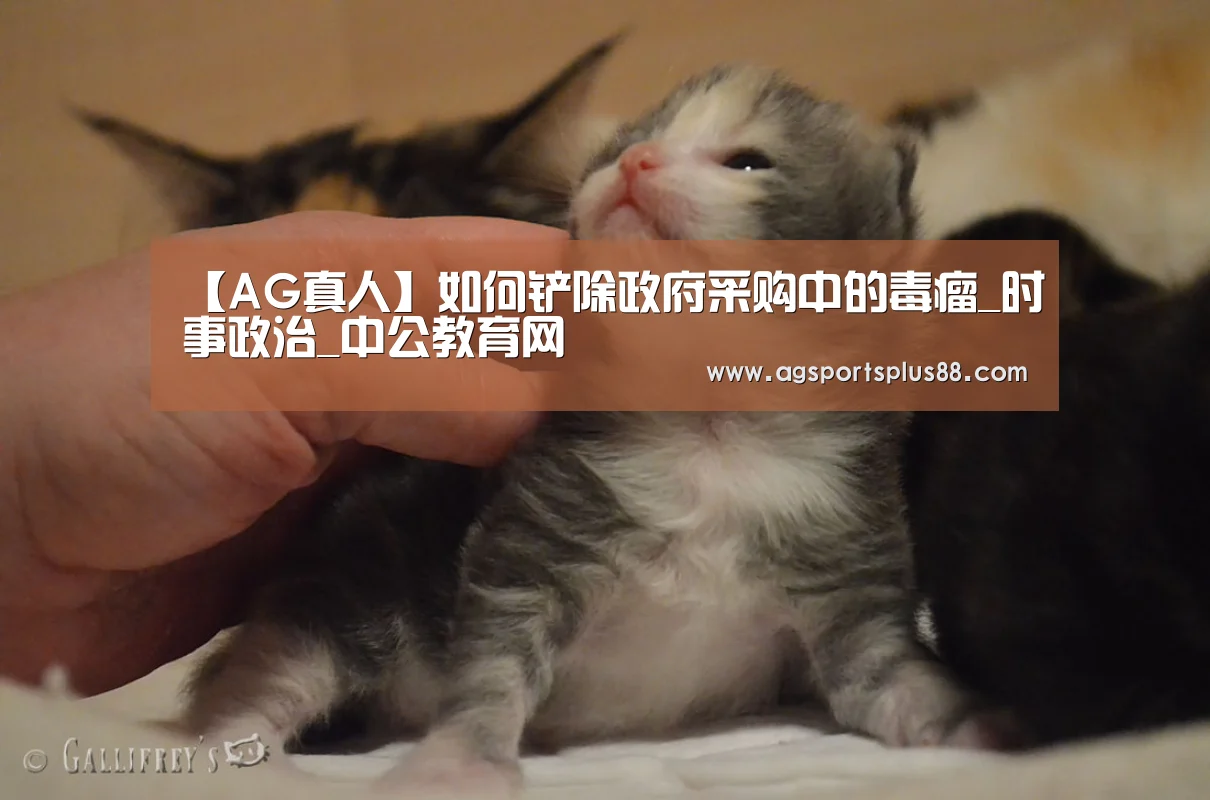 【AG真人】如何铲除政府采购中的毒瘤_时事政治_中公教育网(图4) AG视讯