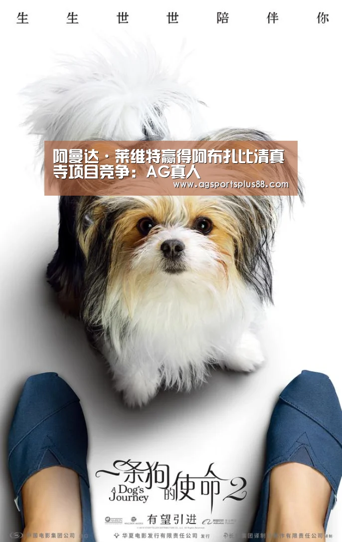 阿曼达·莱维特赢得阿布扎比清真寺项目竞争:AG真人(图3) AG入口